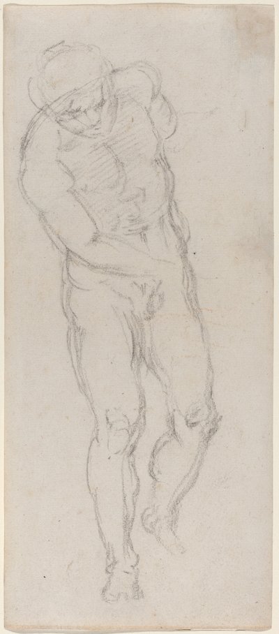 Male Nude by Michelangelo