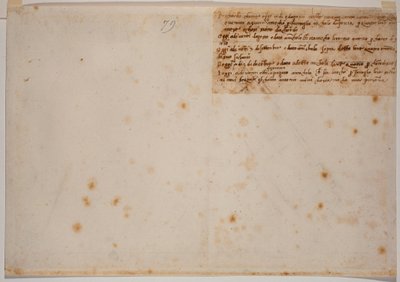 Autograph Recollections by Michelangelo Buonarroti