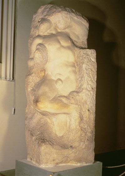 Awakening Slave by Michelangelo Buonarroti