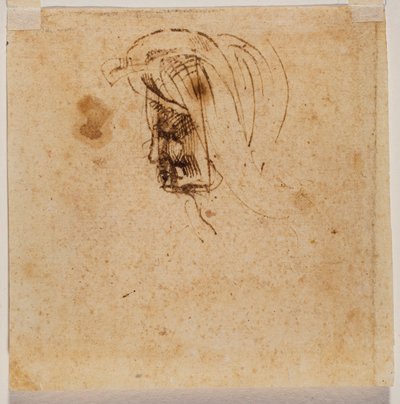 Female head by Michelangelo Buonarroti