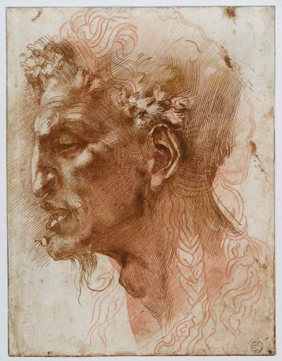 Head of a Satyr by Michelangelo Buonarroti