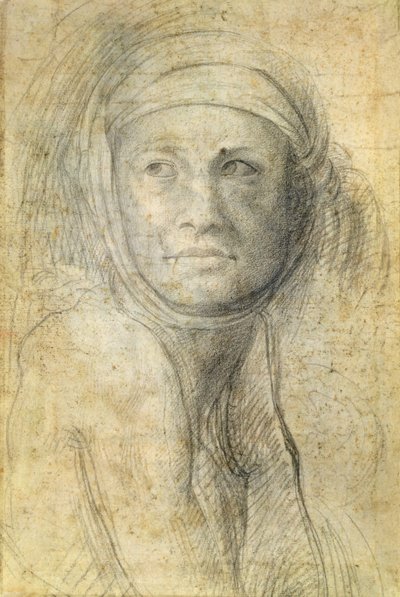 Head of a Woman by Michelangelo Buonarroti