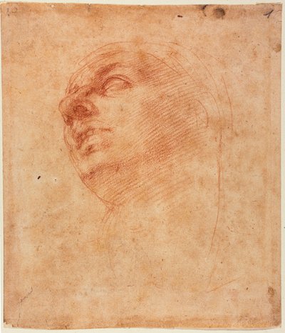 Head Study for the Sistine Jonah by Michelangelo Buonarroti