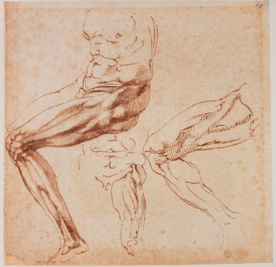 Leg studies by Michelangelo Buonarroti