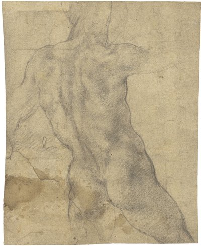 Male nude by Michelangelo Buonarroti