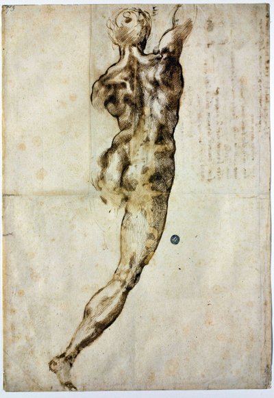 Nude from Behind, c. 1504 by Michelangelo Buonarroti