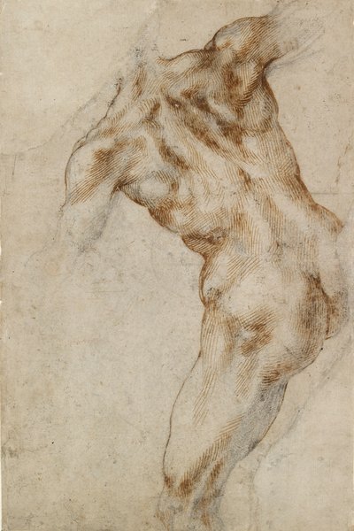 Nude Male Torso, Early 16th Century by Michelangelo Buonarroti