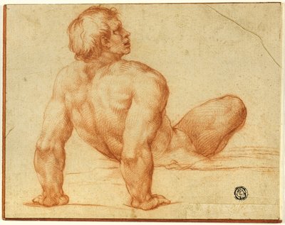Seated Male Nude by Michelangelo Buonarroti