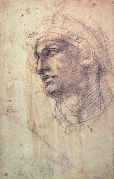 Study of a Head by Michelangelo Buonarroti