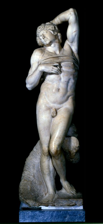 The Dying Slave, 1513-15 by Michelangelo Buonarroti