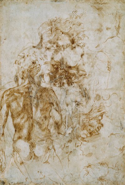 Various Figure Studies by Michelangelo Buonarroti