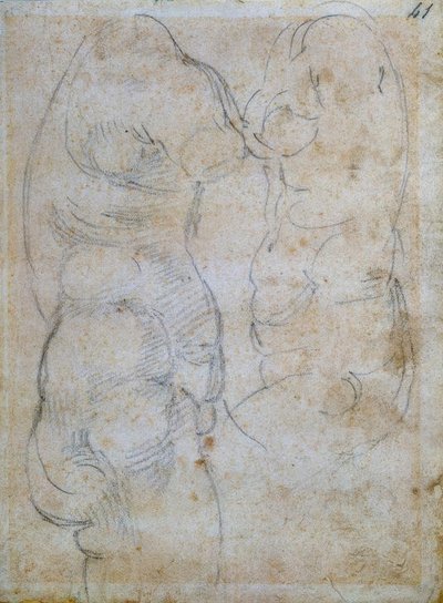 Two Studies of an Antique Female Torso by Michelangelo Buonarroti