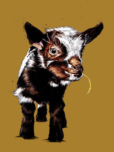 Baby Goat on Golden Yellow, 2020 by Mike Davis