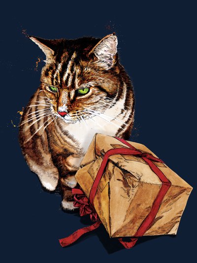 Birthday Cat on Midnight Blue, 2020 by Mike Davis