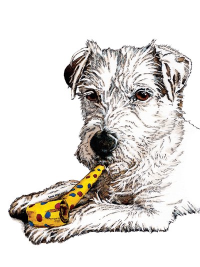 Birthday Parson Dog on White by Mike Davis