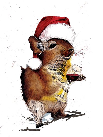 Christmas Degu on White by Mike Davis