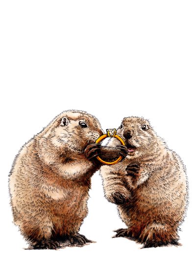 Engaged Prairie Dogs on White, 2020 by Mike Davis