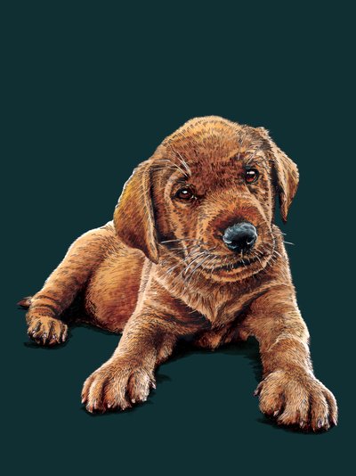 Marge The Puppy by Mike Davis