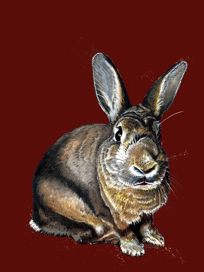 Meg The Bunny by Mike Davis
