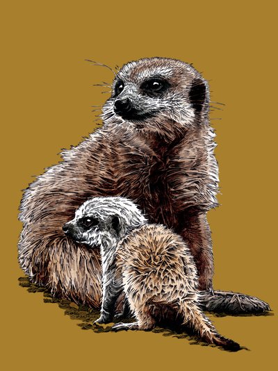 New Baby Meerkats on Golden Yellow by Mike Davis