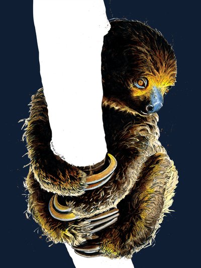 Talita The Sloth by Mike Davis