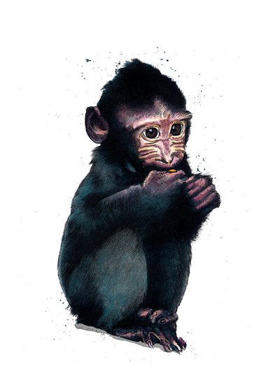 The Baby Macaque on White, 2020 by Mike Davis