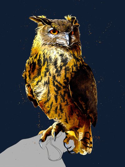 The Eagle Owl on Midnight Blue by Mike Davis