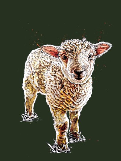 The Lamb on Forest Green by Mike Davis