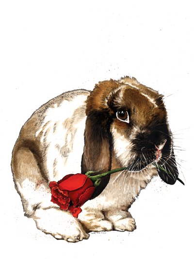 The Love Bunny on White by Mike Davis