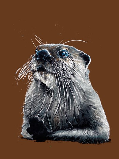 The Otter on Burnt Orange by Mike Davis