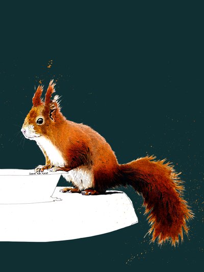 The Red Squirrel by Mike Davis