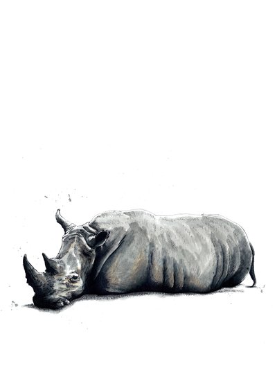 The Rhino by Mike Davis