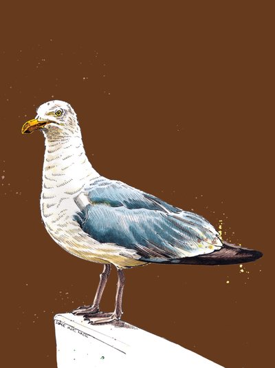 The Seagull on Burnt Orange, 2020 by Mike Davis