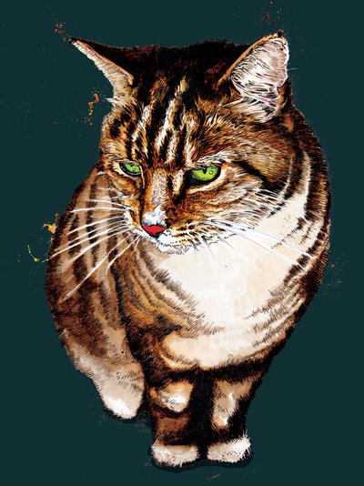 The Tabby Cat on Deep Cyan, 2020 by Mike Davis