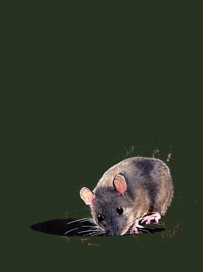The Woodmouse on Forest Green by Mike Davis