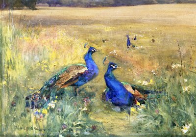 Peacocks in a Field by Mildred Anne Butler