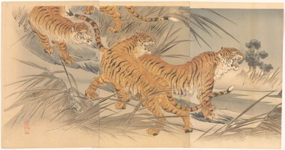 Tigers and Soldiers by Mishima Shôsô