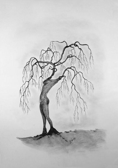 Tree Death 3 by Monika Wittrich