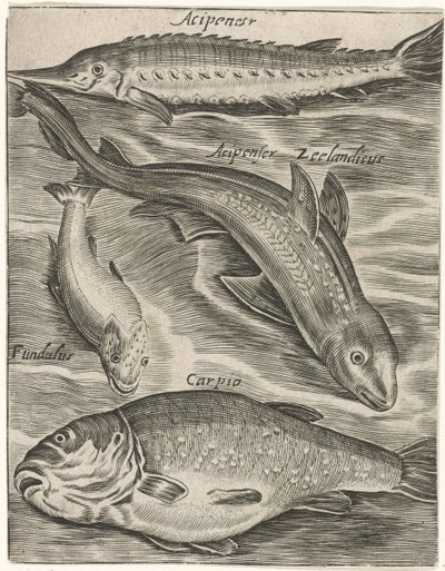 Study Sheet with Fish by Monogrammist P+P