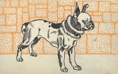 Pitbull Terrier by Moritz Jung