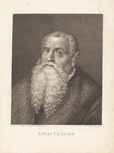 Lucas Cranach by Moritz Steinla