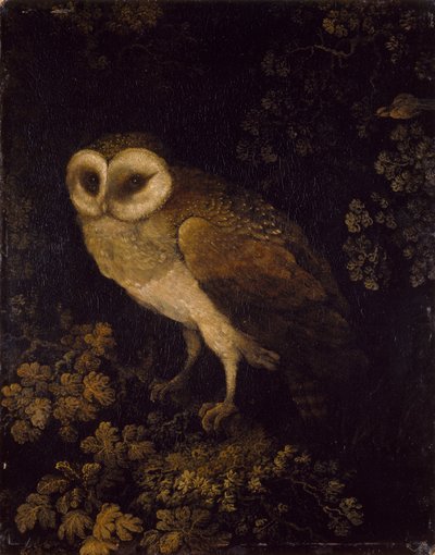 An Owl by Moses Haughton