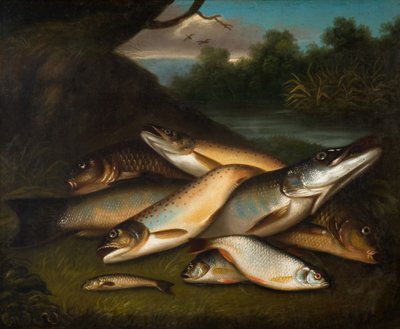 Fish, 1790 by Moses Haughton
