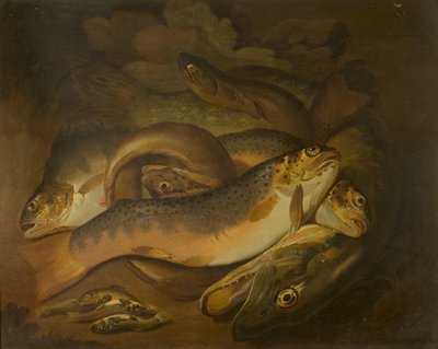 Fishes by Moses Haughton