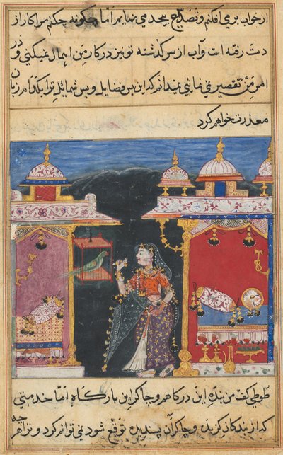 Page from Tales of a Parrot by Mughal School