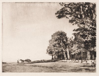 Hampstead Heath by Muirhead Bone