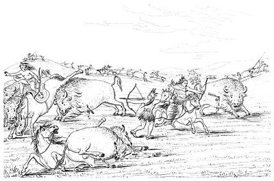 Native Americans Hunting Buffalo, 1841 by Myers and Co