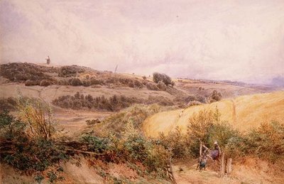 Summer Landscape near Haslemere, Surrey by Myles Birket Foster