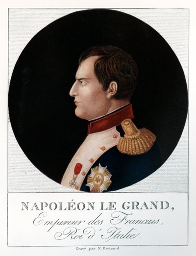 Emperor Napoleon Bonaparte by N. Bertrand
