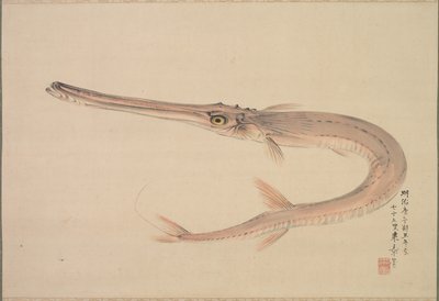 Needlefish (Yagara) by Nakajima Raishō